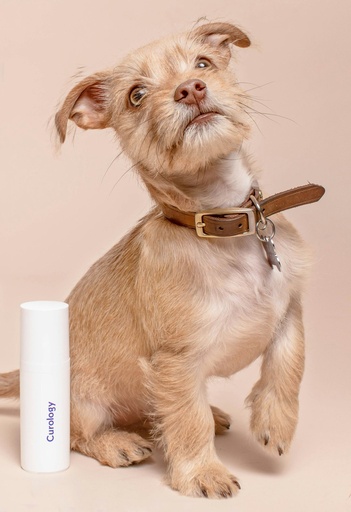 Dog Grooming- Add-ons